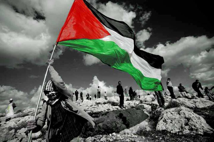 المفاح الفلسطيني