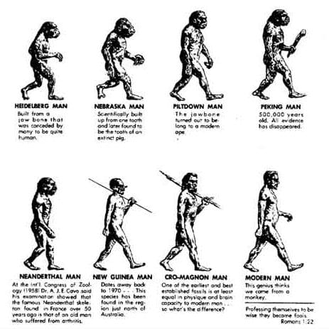 نظرية التطور