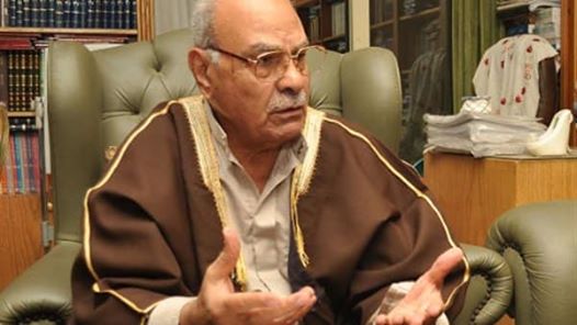 د. محمد عمارة