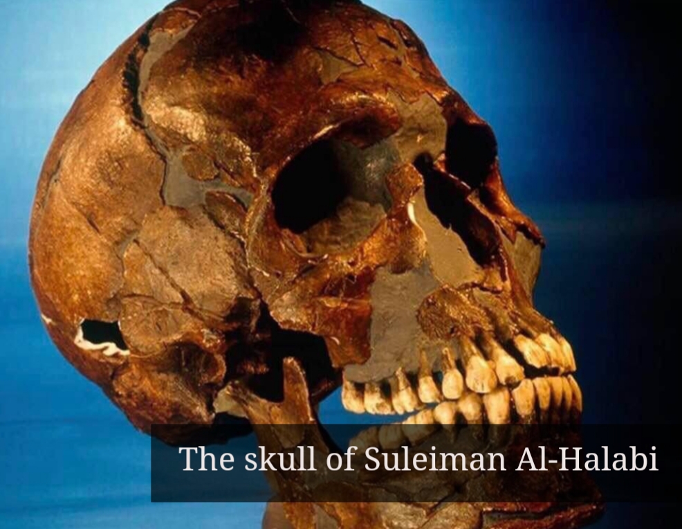 Le crâne de Suleiman Al-Halabi