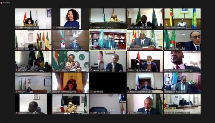 جانب من الاجتماع الافتراضي للمجلس التنفيذي للاتحاد الأفريقي