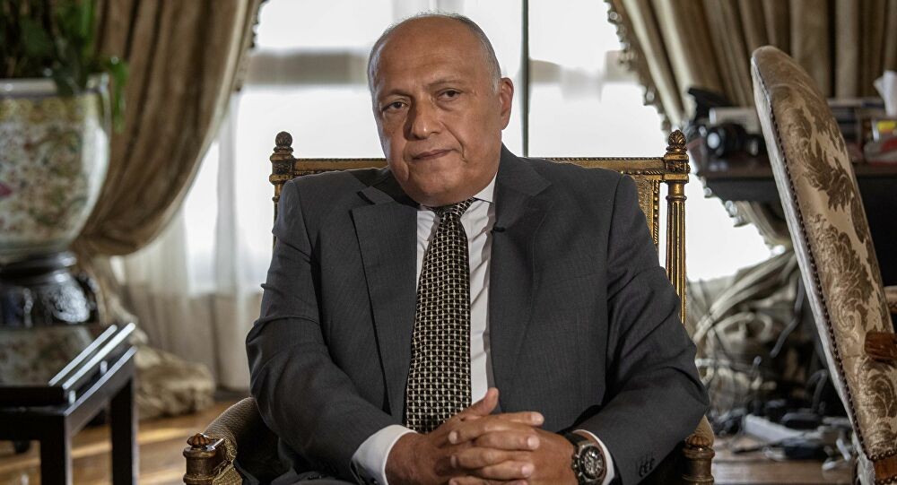 وزير الخارجية المصري - أرشيفية