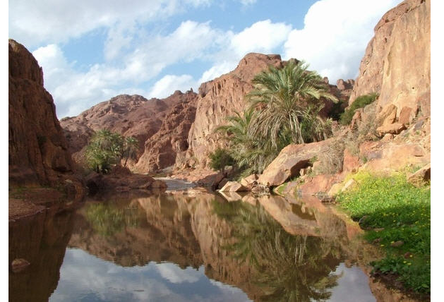 جنان تبوك